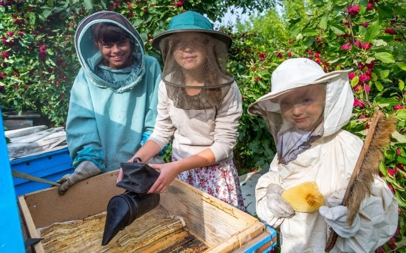 SCHOOL & YOUTH GROUP VISITS