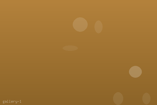 E-commerce platform redesign with product grid layout