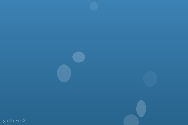 Analytics dashboard with interactive data visualizations