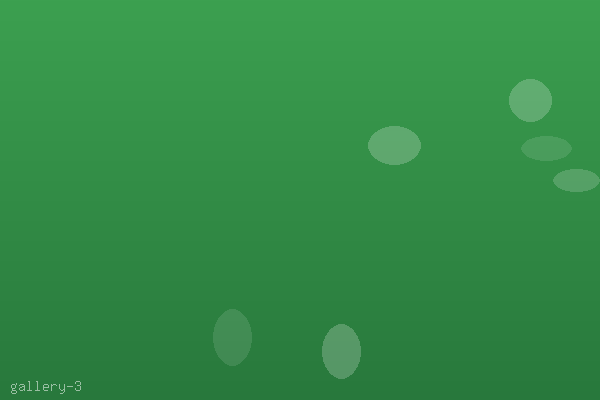 Responsive landing page optimized for mobile conversion