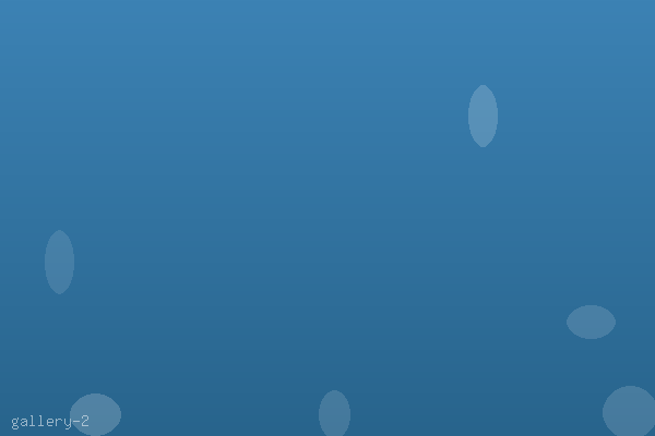 Analytics dashboard with interactive data visualizations