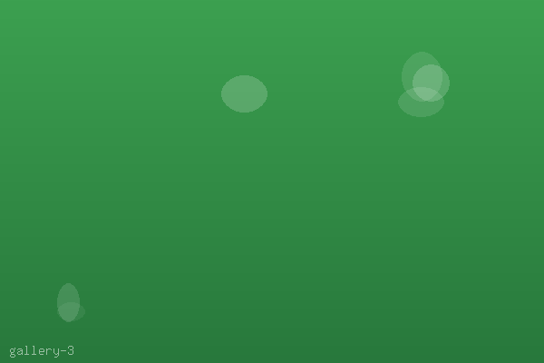 Responsive landing page optimized for mobile conversion
